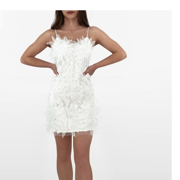 Inamore Mariposa Mini Dress BRAND NEW - Picture 1 of 5